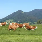 Oberreiterhof