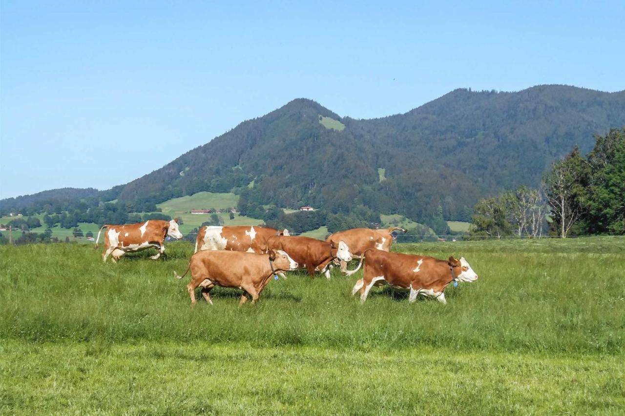Oberreiterhof * Bad Wiessee